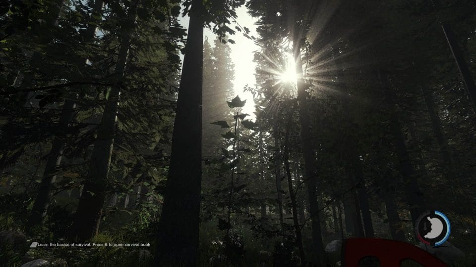 The Forest - Global Illumination